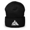 Awesome Walls - Beanie